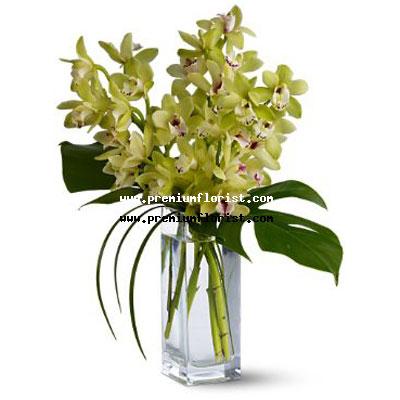 Orquídeas Cymbidium en Peru, Peru | Florerias Peru | Flores En Peru