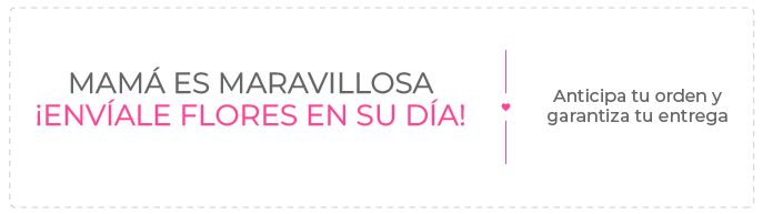 Oferta en Perú
