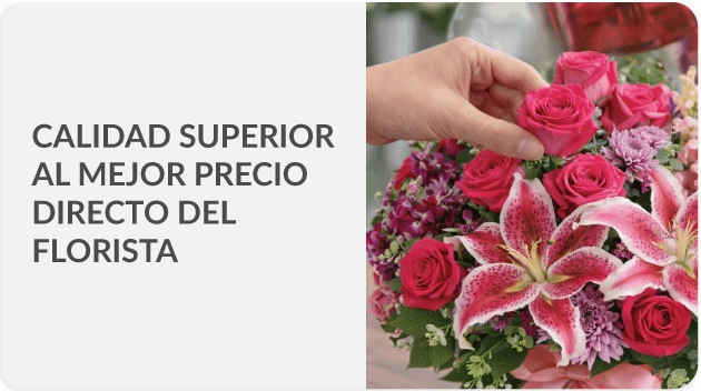Envía a todo Perú