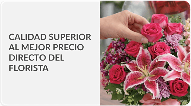 Envía a todo Perú